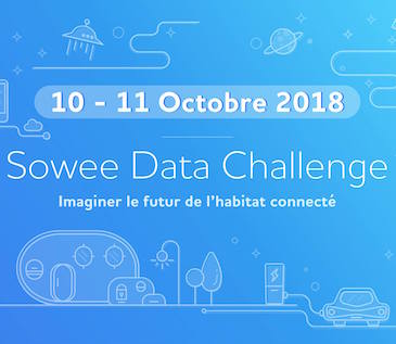 Sowee data challenge