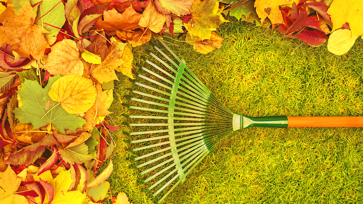 automne économies d'énergie