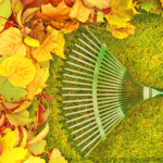 automne économies d'énergie