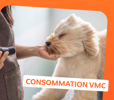 Consommation d'une VMC