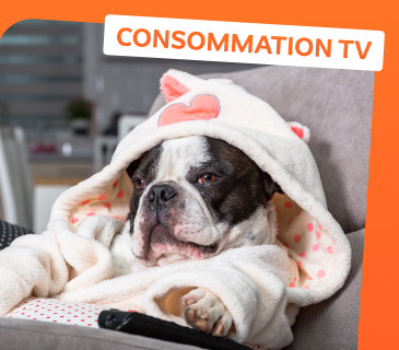 réduire consommation tv