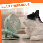 Bilan thermique